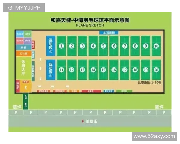 成都羽毛球队意识对比深度解析与发展趋势探讨